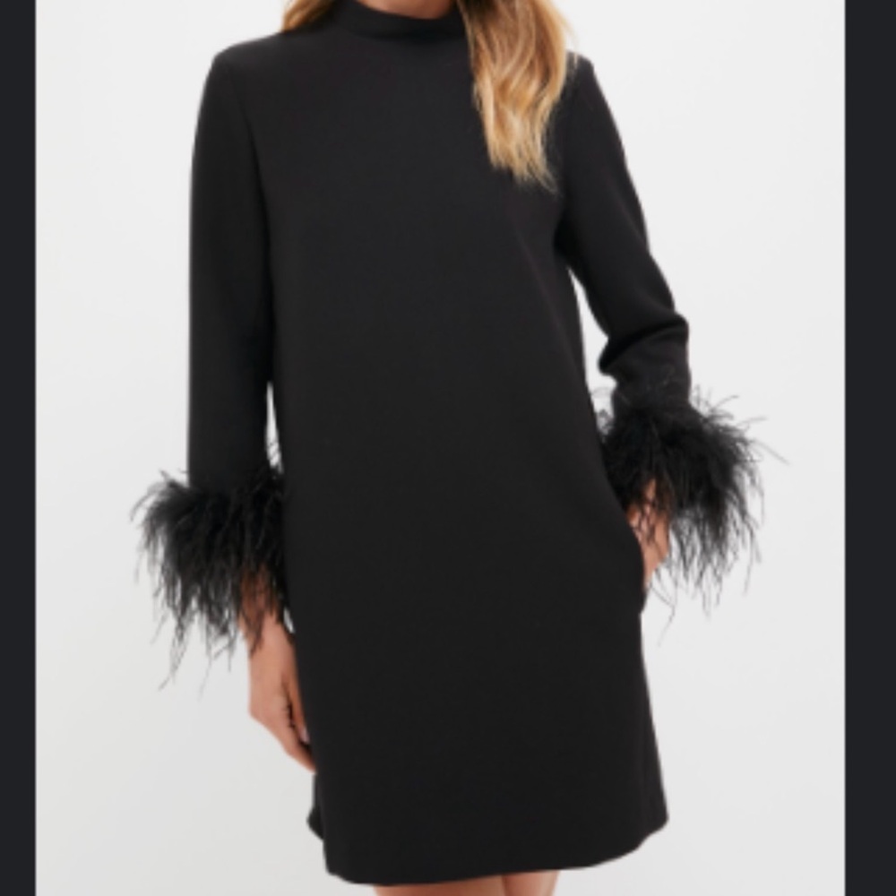 Tuckernuck Black Feather Mod Ellie Dress